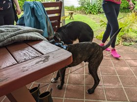 Louie and Manny 2023